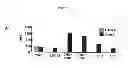 Fig. 43 - Methods and compositions for preventing and treating a disease related to glycan dysregulation