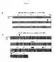 Fig. 50 - Methods and compositions for preventing and treating a disease related to glycan dysregulation
