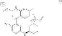 Fig. 1027 - ERK inhibitors and uses thereof