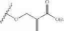 Fig. 340 - ERK inhibitors and uses thereof