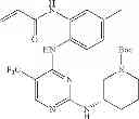 Fig. 451 - ERK inhibitors and uses thereof