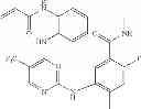 Fig. 503 - ERK inhibitors and uses thereof