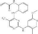 Fig. 508 - ERK inhibitors and uses thereof