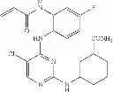 Fig. 535 - ERK inhibitors and uses thereof
