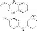 Fig. 545 - ERK inhibitors and uses thereof