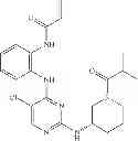 Fig. 560 - ERK inhibitors and uses thereof