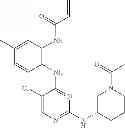 Fig. 562 - ERK inhibitors and uses thereof