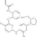 Fig. 583 - ERK inhibitors and uses thereof