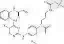 Fig. 596 - ERK inhibitors and uses thereof