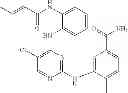Fig. 642 - ERK inhibitors and uses thereof