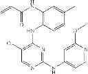 Fig. 658 - ERK inhibitors and uses thereof