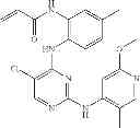 Fig. 664 - ERK inhibitors and uses thereof