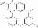 Fig. 669 - ERK inhibitors and uses thereof
