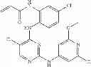 Fig. 670 - ERK inhibitors and uses thereof