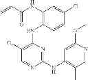 Fig. 671 - ERK inhibitors and uses thereof