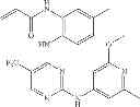 Fig. 718 - ERK inhibitors and uses thereof