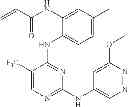 Fig. 738 - ERK inhibitors and uses thereof