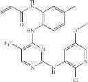 Fig. 762 - ERK inhibitors and uses thereof