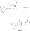 Fig. 05 - Compounds as HIF-1alphainhibitors and manufacturing process thereof