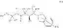 Fig. 08 - PRMT5 inhibitors and uses thereof