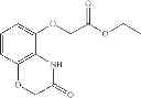 Fig. 155 - PRMT5 inhibitors and uses thereof
