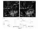 Fig. 13 - Preparation and methods of use for ortho-aryl 5-membered heteroaryl-carboxamide containing multi-targeted kinase inhibitors