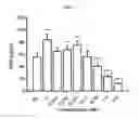 Fig. 05 - Method for treating osteoporosis