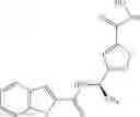 Fig. 210 - Substituted hydroxamic acids and uses thereof