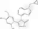Fig. 63 - COMBINATION THERAPY OF HSP90 INHIBITORY COMPOUNDS WITH MEK INHIBITORS