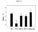 Fig. 02 - PHARMACEUTICAL COMPOSITION CONTAINING WOGONIN AS AN ACTIVE INGREDIENT FOR PREVENTING OR TREATING ASTHMA