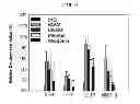 Fig. 08 - PHARMACEUTICAL COMPOSITION CONTAINING WOGONIN AS AN ACTIVE INGREDIENT FOR PREVENTING OR TREATING ASTHMA