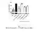 Fig. 04 - Method of Accelerating Corneal Wound Healing