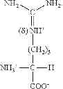 Fig. 07 - COMPOSITION AND METHOD OF SYNTHESIZING A BIOMOLECULE AND ITS THERAPEUTICS APPLICATIONS
