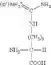Fig. 08 - COMPOSITION AND METHOD OF SYNTHESIZING A BIOMOLECULE AND ITS THERAPEUTICS APPLICATIONS