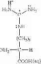 Fig. 09 - COMPOSITION AND METHOD OF SYNTHESIZING A BIOMOLECULE AND ITS THERAPEUTICS APPLICATIONS
