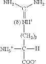 Fig. 16 - COMPOSITION AND METHOD OF SYNTHESIZING A BIOMOLECULE AND ITS THERAPEUTICS APPLICATIONS