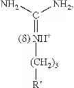 Fig. 20 - COMPOSITION AND METHOD OF SYNTHESIZING A BIOMOLECULE AND ITS THERAPEUTICS APPLICATIONS