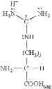 Fig. 43 - COMPOSITION AND METHOD OF SYNTHESIZING A BIOMOLECULE AND ITS THERAPEUTICS APPLICATIONS