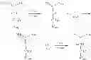 Fig. 47 - COMPOSITION AND METHOD OF SYNTHESIZING A BIOMOLECULE AND ITS THERAPEUTICS APPLICATIONS