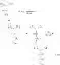 Fig. 48 - COMPOSITION AND METHOD OF SYNTHESIZING A BIOMOLECULE AND ITS THERAPEUTICS APPLICATIONS