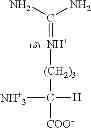 Fig. 52 - COMPOSITION AND METHOD OF SYNTHESIZING A BIOMOLECULE AND ITS THERAPEUTICS APPLICATIONS