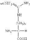 Fig. 53 - COMPOSITION AND METHOD OF SYNTHESIZING A BIOMOLECULE AND ITS THERAPEUTICS APPLICATIONS