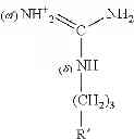 Fig. 58 - COMPOSITION AND METHOD OF SYNTHESIZING A BIOMOLECULE AND ITS THERAPEUTICS APPLICATIONS
