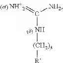 Fig. 59 - COMPOSITION AND METHOD OF SYNTHESIZING A BIOMOLECULE AND ITS THERAPEUTICS APPLICATIONS