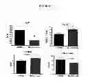 Fig. 06 - Organ protection solution and its method of use