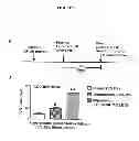 Fig. 07 - Organ protection solution and its method of use