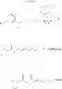 Fig. 320 - Compounds for treating ophthalmic diseases and disorders