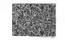 Fig. 01 - Interconnected microcellular material made of industrial lignin and method for preparing same