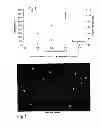Fig. 02 - Photoreactor and Process for Preparing MIP Nanoparticles