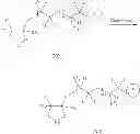 Fig. 33 - Method for manufacturing fluoropolymers